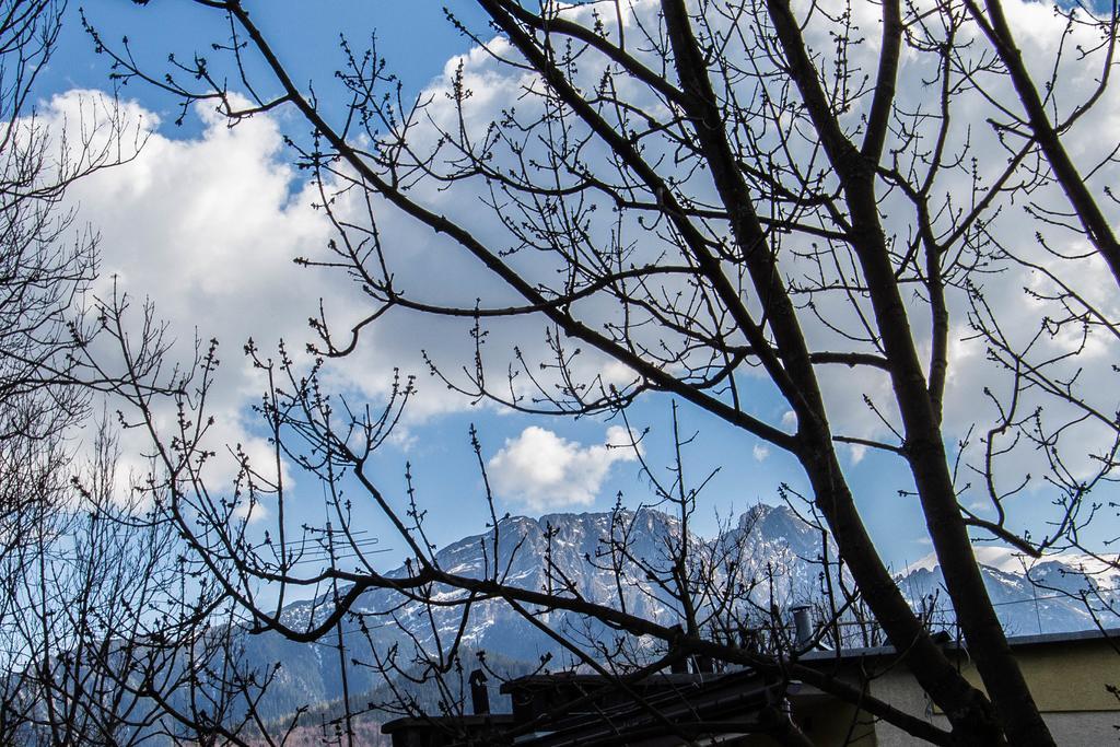 Apartament Owcze Runo Zakopane Bagian luar foto